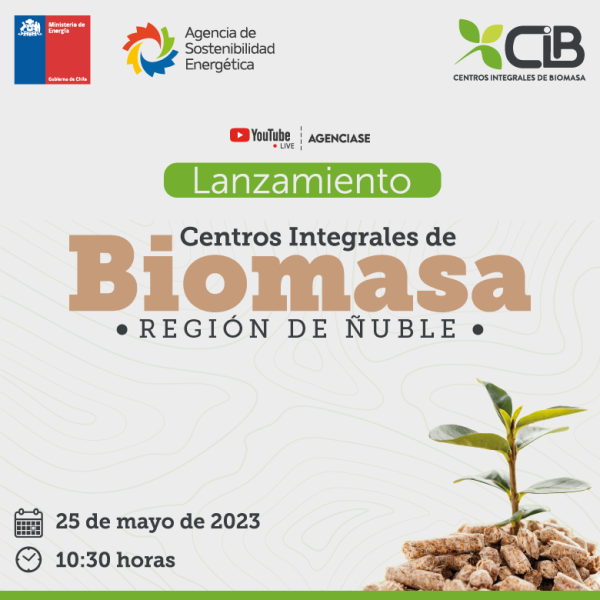 BIOMASA 2