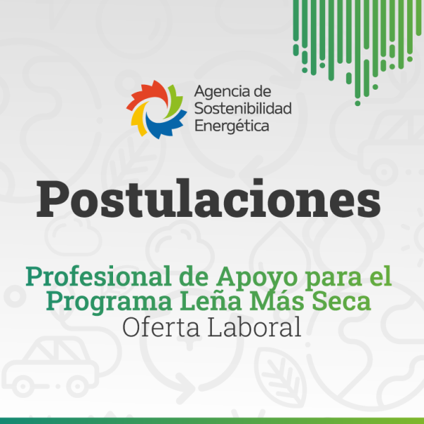 780 POSTULACION 780 Profesional de Apoyo para el Programa Leña Más Seca   Oferta Laboral