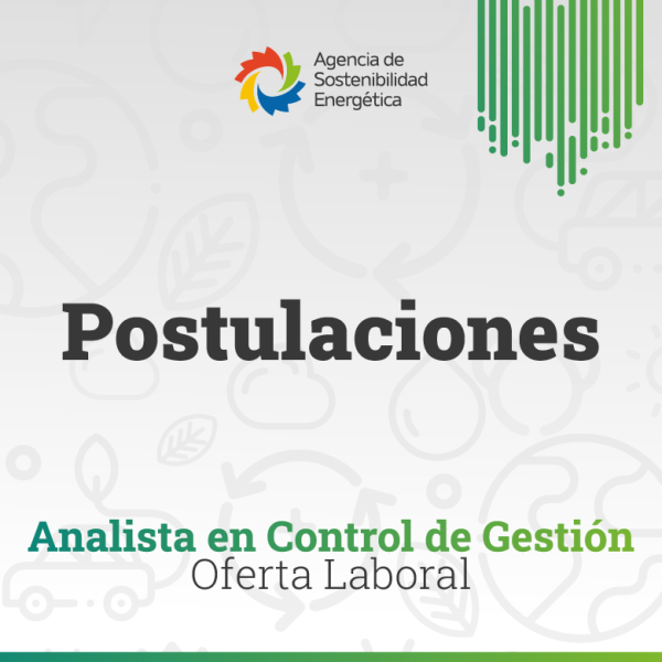 780 Analista en Control de Gestión