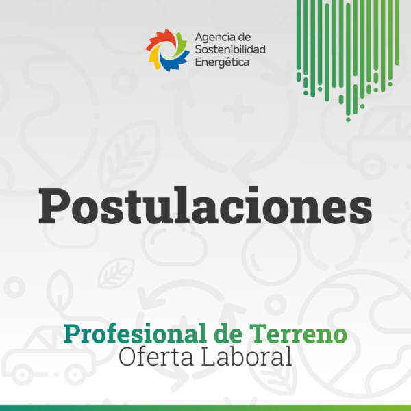 780   profesional de terreno