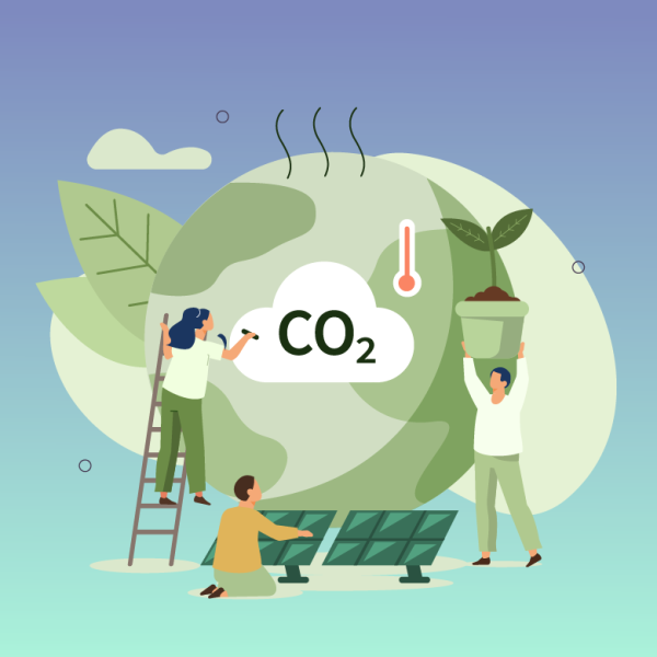 20231026 principal 780x780