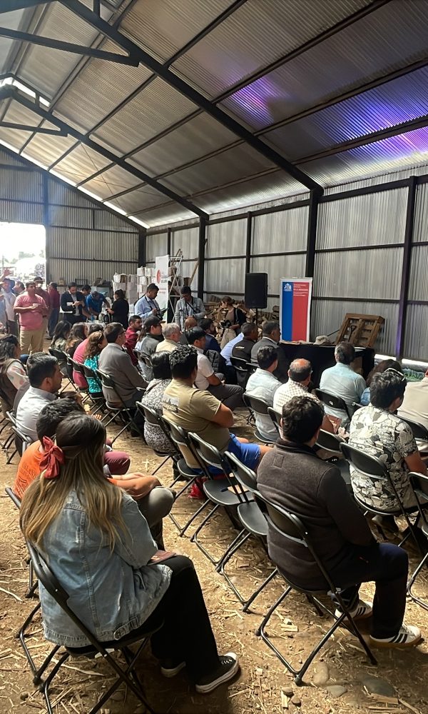 Lanzamiento del programa Leña Más Seca 2025 