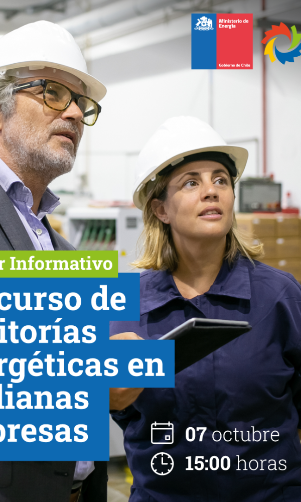 AE Empresas 2 600x1000