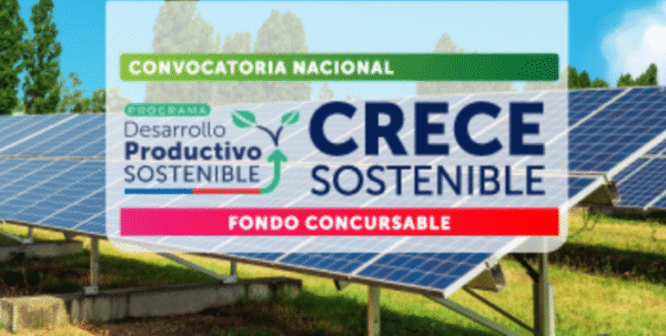 Crece sostenible 600x303